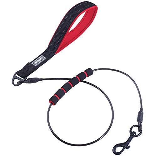 unchewable dog leash