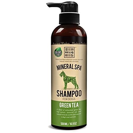 Pet Shampoos Amazon Com Reliq Mineral Spa Shampoo Green Tea For Dog And Cat