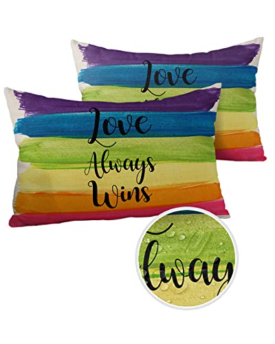 Edwiinsa Outdoor Pillow Covers Waterproof, Pride Day Rainbow Art Print All Weather Cushion Case Set of 2, Colorful Stripes Lumbar Pillowcase for Sofa Couch Bed Decor Patio Furniture 20