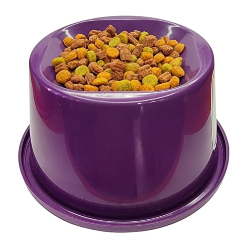 Comedouro Gato Alto Elevado Postura Correta Ergonomico Antiformiga (Dourado)
