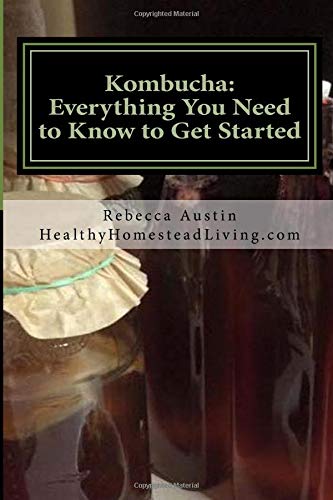 Kombucha: Everything You Need to Know to Get Started