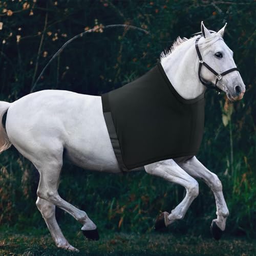Sleezy para caballo transpirable ideal para transporte y descanso en box 8