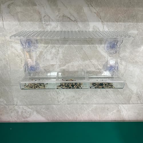Mangeoire à fenêtre transparente pour oiseaux de compagnie et sauvages
