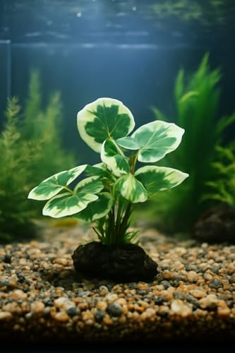 Image of JGbaby Artificial Aquarium Plants,Fish Tank Decorations Betta Leaf Hammock 4in Realistic Silk & Plastic Plants, Hideout Decor for Betta. Goldfish,Reptiles,Small Tanks (Green Type-E)