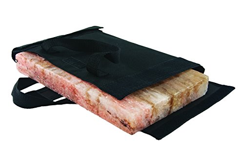 Charcoal Companion CC5151 Salt Block Protective Case