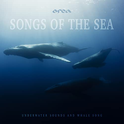 Play Songs Of The Sea by Orca on Amazon Music