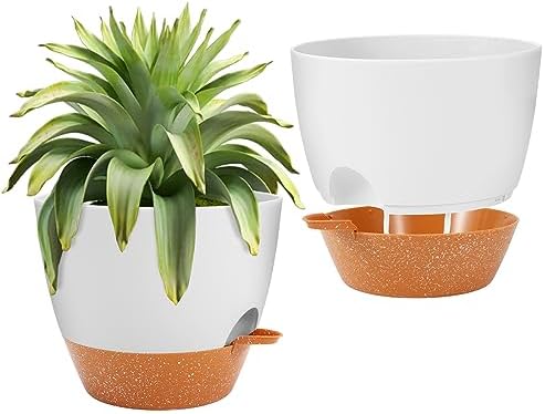 SIENA Pflanzkasten – Weiß, 30 Cm, Modernes Design Mit Abgerundeten Kanten
