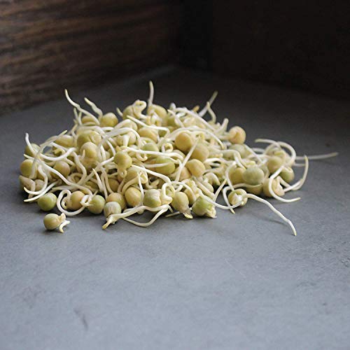 Certified Organic Dried Green Pea Sprouting Seed - 1 Lb - Handy Pantry Brand - Green Pea For Sprouts, Garden Planting, Cooking, Soup, Emergency Food Storage, Vegetable Gardening #TOP3