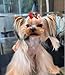 Tnasa 24 Pairs (48 Pieces) Christmas Dog Hair Bows with Rubber Bands for Medium Dogs Girl Cats Kitten Puppy Bowknot Topknot Yorkies Rabbits Boy Stylish Pet Grooming Hair Accessories