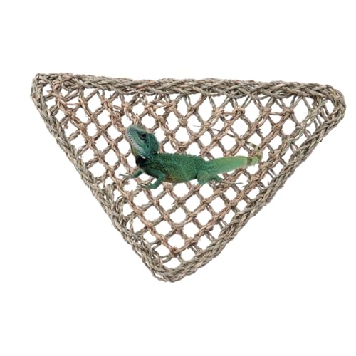 SEWOART 2 ҂݃nbN ঒ gJQ iP[W ݂P[W @ۃnbN