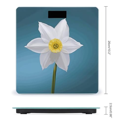 Báscula digital VstaDank para baño con pantalla LCD y cinta métrica miniatura 2