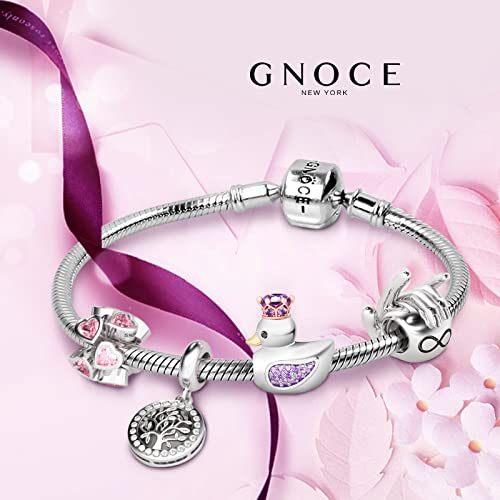 GNOCE Rose Gold Heart Charm Beads 925 Sterling Silver Bead Charms with Cubic Zirconia Fit for Bracelet/Necklace Valentine's Day Jewelry Gift for Women (heart-10)4