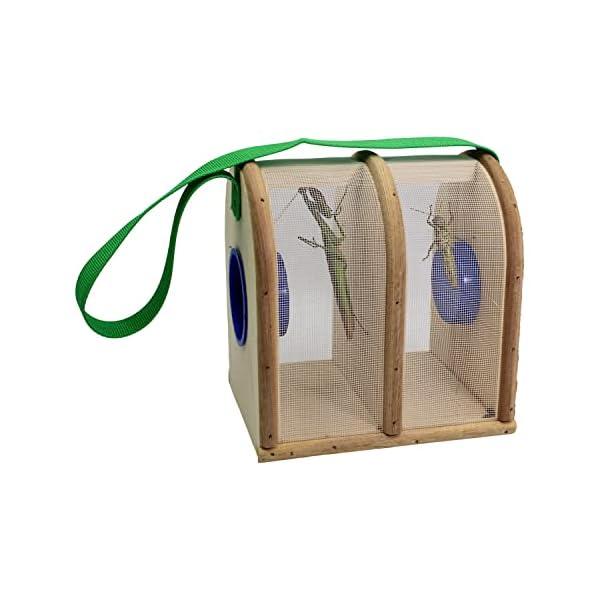 Backyard Essentials Wooden Bug Box for Kids, Dual Chamber Insect