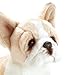 Nat and Jules Sitting Small French Bulldog Light Brown And White Children's Plush Stuffed Animal