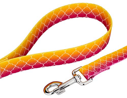 Country Brook Petz - Fabulous Ombre Martingale Dog Collar And Leash - Abstract Collection With 5 Geometric Designs (1 Inch, Large) #TOP5