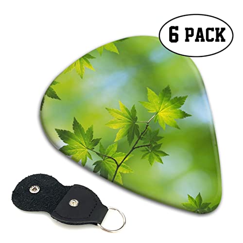 Hd Green Nature Lot de 6 médiators pour guitare acoustique, guitare électrique, basse, ukulélé – fins, moyens et épais - Les Beatles, Paul McCartney, John Lennon, RIngo Starr, George Harrison Hd Green Nature Lot de 6 médiators pour guitare acoustique, guitare électrique, basse, ukulélé - fins, moyens et épais – Image 3