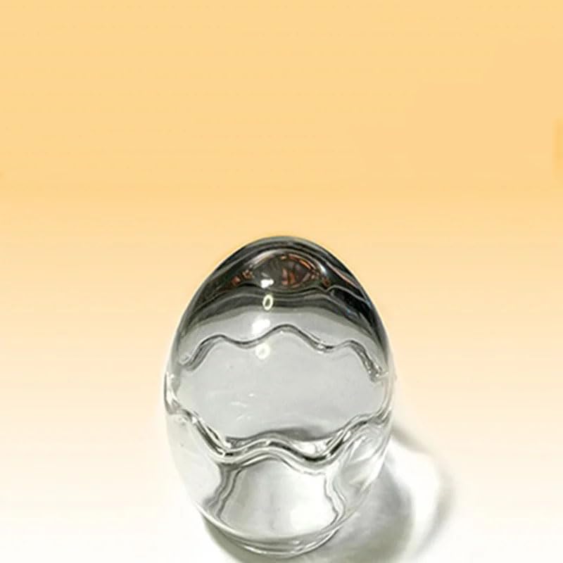 Penetration Impossible 2.0 Magic Tricks Signé Coin Penetre Transparent Container Magic for Magicians Close Up Illusions Gimmicks