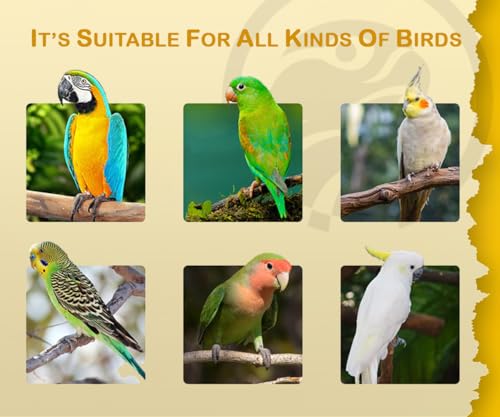 Image of Breed Formula for Birds, Protein & Vitamin Blend, Boosts Fertility & Egg Production, for Canaries, Parrots & Cockatiels, 100ml (Birds Health Care)