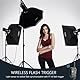 Godox 750W Studio Stroboskop Blitzlicht Kit, Stroboskop Beleuchtungsset für Fotografie, 3x250W 5600K Monolights mit Stroboskop Auslöser, Lichtständer, Galgenarm