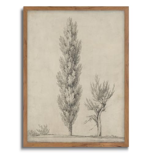 JOWOROLO Vintage Posters for Room Aesthetic - Vintage Botanical Wall Art Prints Decor, Farmhouse Home Decor, Nature Landscape Painting Bedroom Kitchen Bathroom Gallery Tree Pictures (FRAMED)
