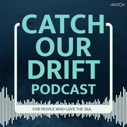 Catch Our Drift Titelbild