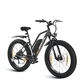 SPATIAL E Bike, E-Bike Herren mit 26 * 4.0' Fat Tire, 48V13AH Akku, Bis zu 150 KM, 85Nm 250W Motor, Offroad Ebike Mountainbike mit Vollfederung, 7-Gang, All-Terrain Elektrofahrrad Herren