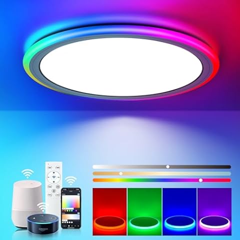 BLNAN Smart RGB Ceiling Light Cover