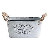 Ideal para plantas: la huella ovalada ordenada de la maceta la hace ideal para crear un arreglo de varias flores o para dar espacio para crecer a una planta de tamaño pequeño a mediano.
