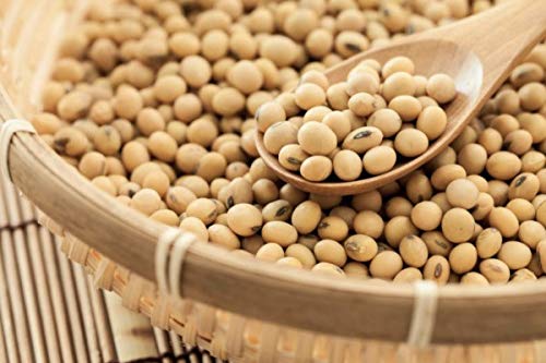 Natural Craving Soya Bean Seeds 3kg Soyabean Dana High Protein Fiber Amazon In Grocery Gourmet Foods