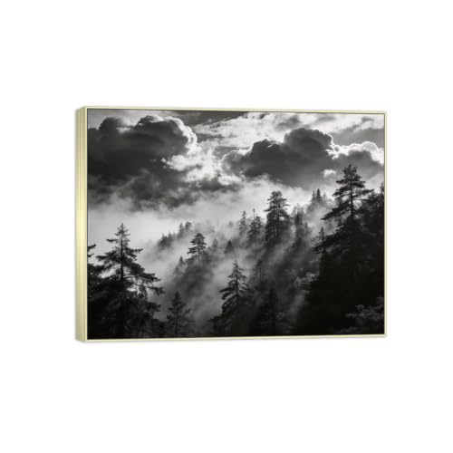 Tableau décoration murale arbre nuages noir et blanc 90x117cm cadre argenté paysage