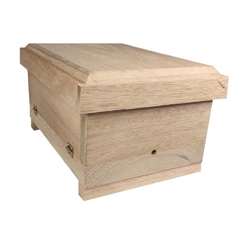 Caixa Didática para Abelha Sem Ferrão Média