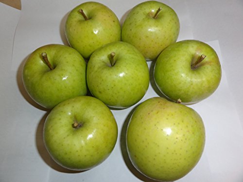 �X���Y��� �󂠂艤�тT����