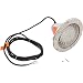 Pentair 78421100 Amerlite Underwater Incandescent Pool Light with Stainless Steel Face Ring, 120 Volt, 15 Foot Cord, 300 Watt