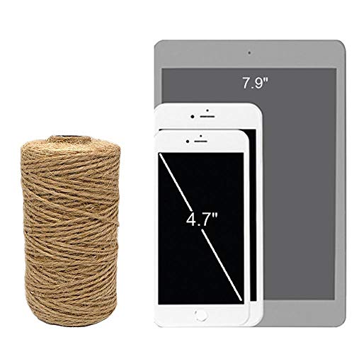 https://m.media-amazon.com/images/I/41ZdKZVFtkL._SL500_.jpg