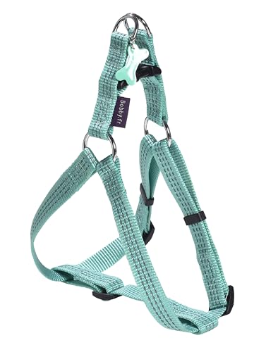 Bobby Safe - Pettorina per Cani di Taglia Media, Riflettente e Resistente, con Doppio Anello in metallo, Colore Turchese, Taglia M/circonferenza petto 44-62 cm