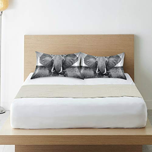 Blueangle Elephant Satin Pillowcase For Hair And Skin Silk Pillowcase, Queen Size(20X30 Inches) - Slip Cooling Satin Pillow Covers With Envelope Closure #TOP5