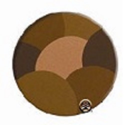 Milani Mosaic Powder, Sunset Spice #06 .32 Oz (9 G) #TOP21