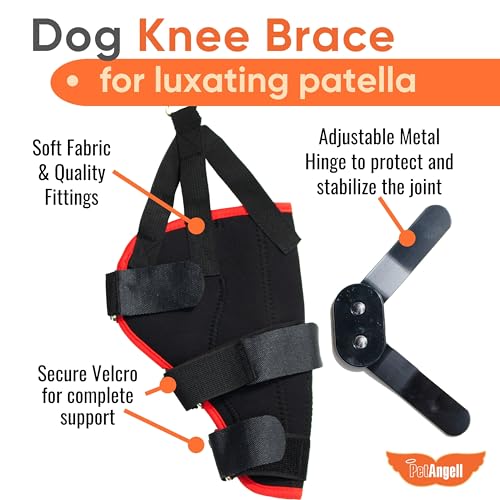 Image of Dog Knee Brace with Harness - Premium Support for Torn ACL, Hind Leg Injuries, Luxating Patella, Arthritis & Cruciate Ligament Care, Dog Leg Brace Back Leg - Right Med