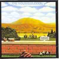 洋楽 THE YOUNGBLOODS ELEPHANT MOUNTAIN LP The Youngbloods – Elephant Mountain – Vinyl (LP, Album