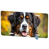 Bernese Mountain Dog Photo Metal Vanity Novelty Tag License Plate for Trucks Cars SUVs