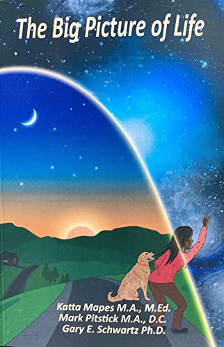 The Big Picture of Life