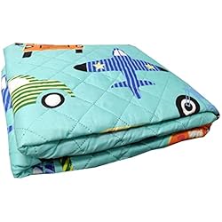 Colcha Infantil 105 COMERCIAL CANDELA FELPUDOS Y ALFOMBRAS Colcha Primavera y Verano Poliester Diseño Dibujo Aviones y Coches Infantil para Cama de (Cama 105)