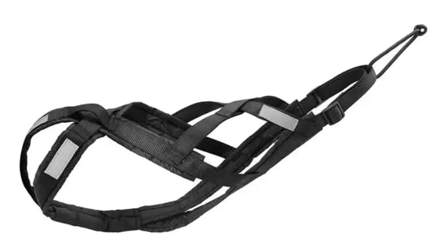 Total Harness for Sports with Dog, Running, Canicross, Sledding, Mushing, Bicycle, Scooter... (M, Black) - Image 2