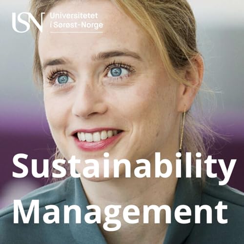 Academia, Sustainability and Solar Energy Research with Eva Niesten