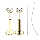 6ixGosh 18G/20G Threadless Push in Nose Studs Surgical Steel Labret Piercing Jewelry for Tragus Monroe Lip Helix Cartilage Earrings Studs for Women Men, 16G