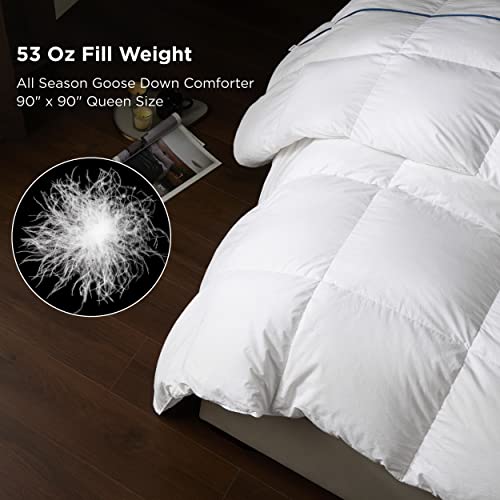 Bedsure Goose Down Comforter Queen Size - Feather Down Comforter Queen For All Seasons, Extra Fluffy Queen Duvet Insert, 8 Corner Tabs, Machine Washable (90X90 Inches, 53 Oz) #TOP3