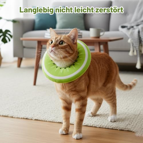 Katzen Halskrause, Halskrause Katze, Verstellbares Weich Leckschutz Katze Nach Operation, Katzenkragen Elisabethanischer Kragen Größe 17 * 4 cm (Grüner)
