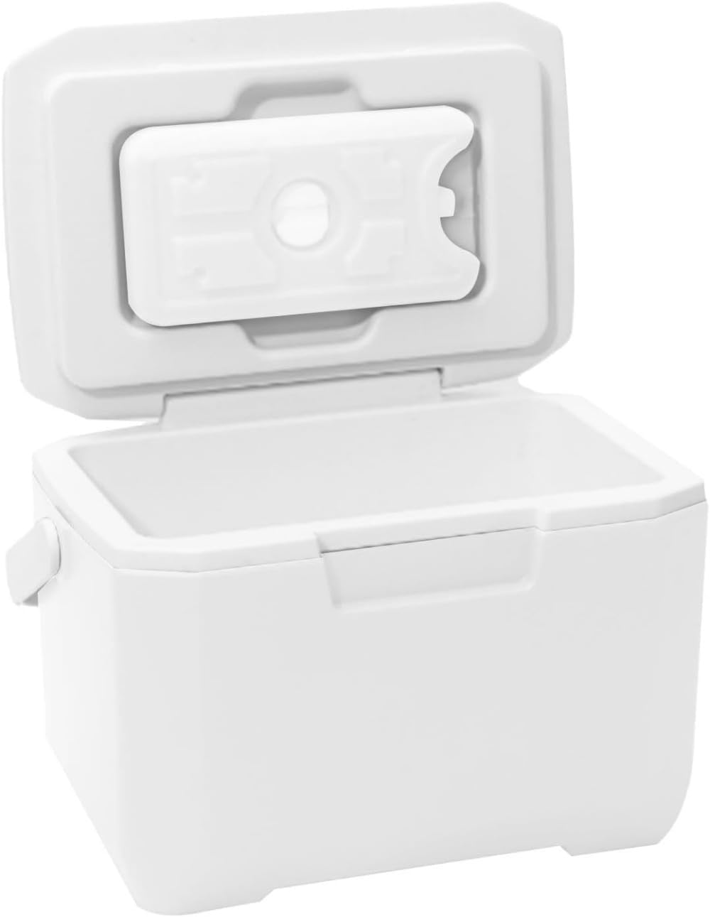 Amazon | 小型ハードクーラー、ピクニック用ポータブルクーラー