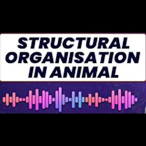 Structural Organisation In Animals