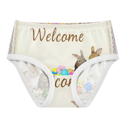 Cartoon Toddler Underwear Custom 2t Cotton Cute Panties Girl Cute Bunnies Welcome Kids Briefs Undies